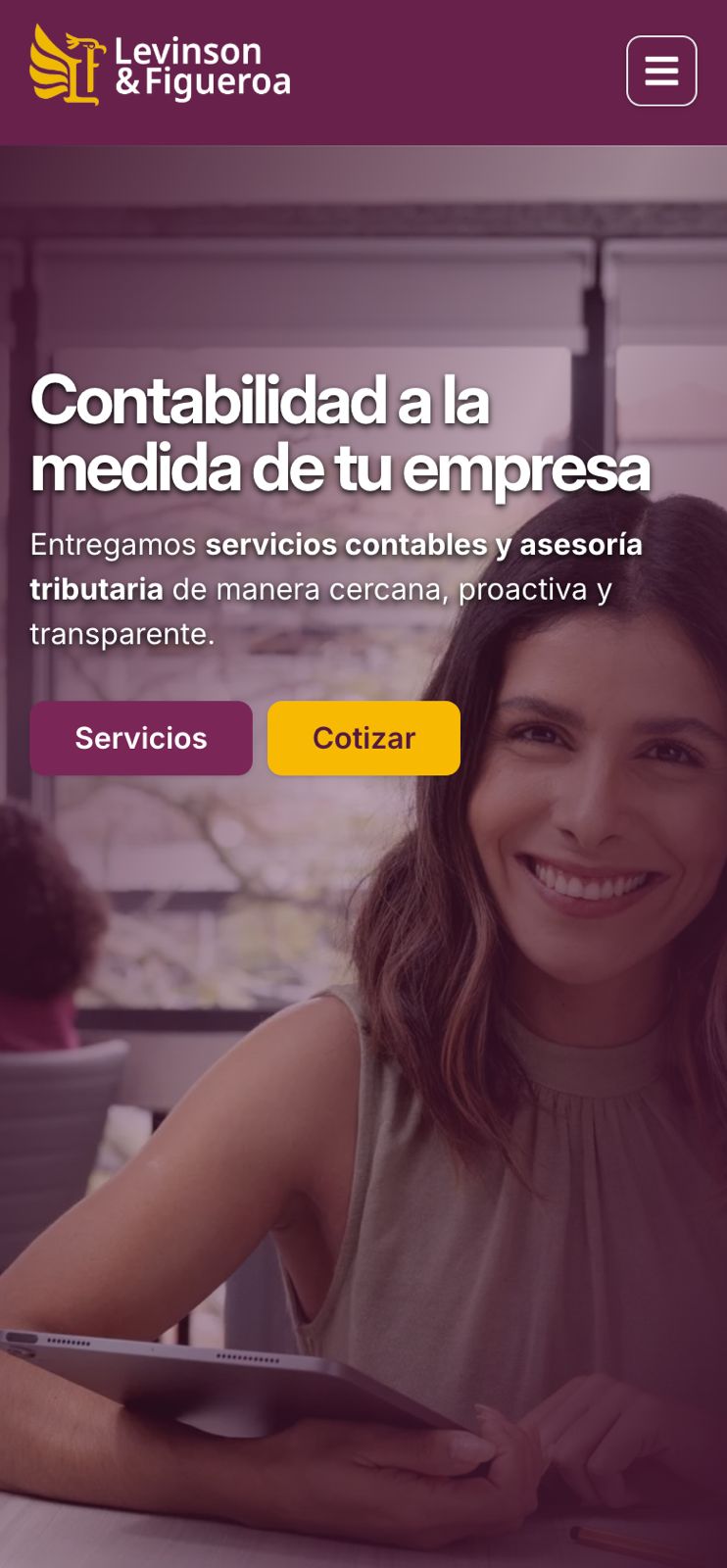 portafolio levinson & figueroa mobile